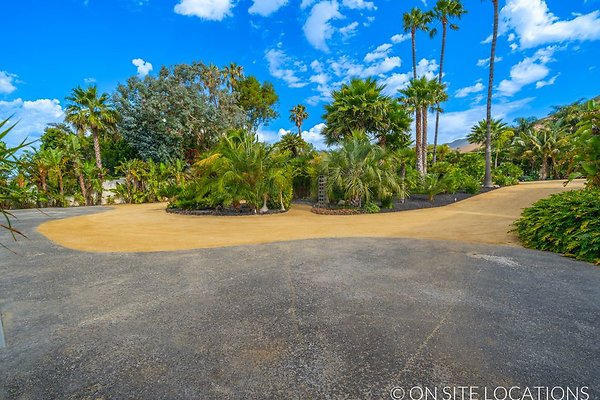 OSL 00323 -013 OSL 00323 -013