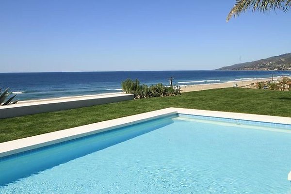 UNIVERSAL-B687-MA-10 UNIVERSAL-B687-MA-10