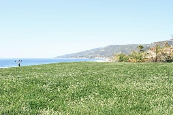 UNIVERSAL-B687-MA-169 UNIVERSAL-B687-MA-169