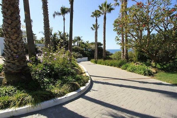 UNIVERSAL-B687-MA-88 UNIVERSAL-B687-MA-88