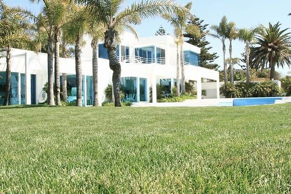 UNIVERSAL-B687-MA-31 UNIVERSAL-B687-MA-31