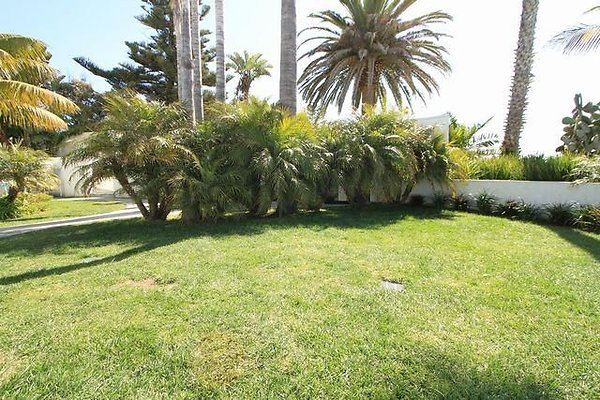 UNIVERSAL-B687-MA-63 UNIVERSAL-B687-MA-63