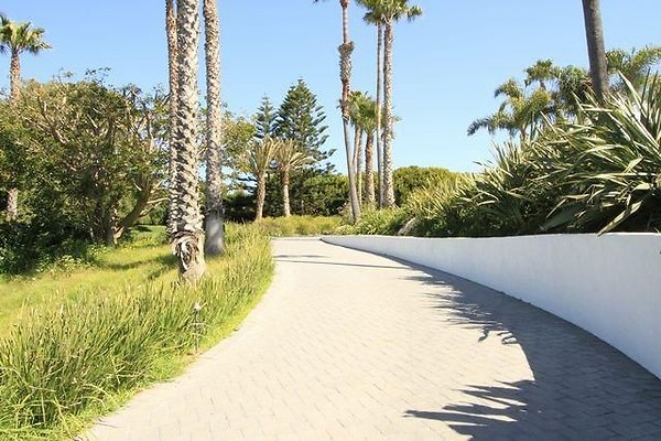 UNIVERSAL-B687-MA-95 UNIVERSAL-B687-MA-95