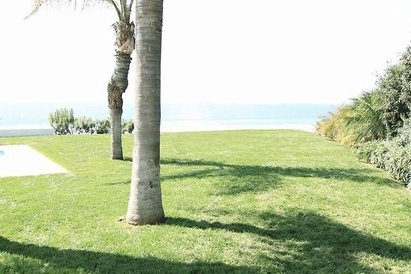 UNIVERSAL-B687-MA-164 UNIVERSAL-B687-MA-164