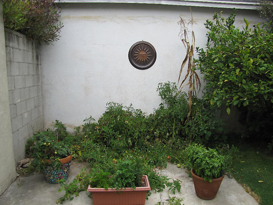 EW IMG 0883 EW IMG 0883