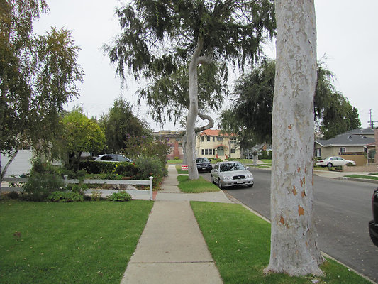 EW IMG 0790 EW IMG 0790