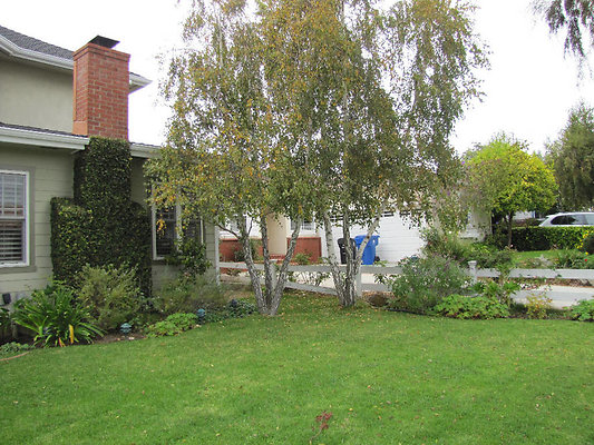 EW IMG 0791 EW IMG 0791