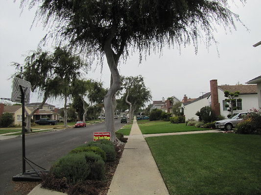 EW IMG 0789 EW IMG 0789