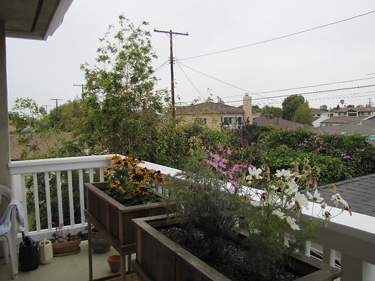 EW IMG 0842 EW IMG 0842