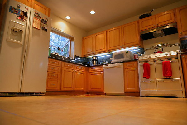 EW VJ2W0951 EW VJ2W0951