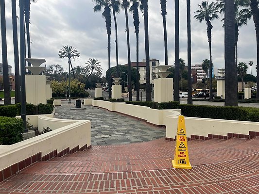 th IMG 8316 th IMG 8316