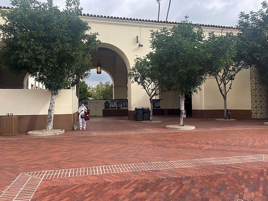 th IMG 8325 th IMG 8325