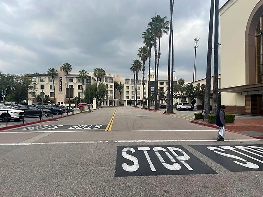 th IMG 8308 th IMG 8308