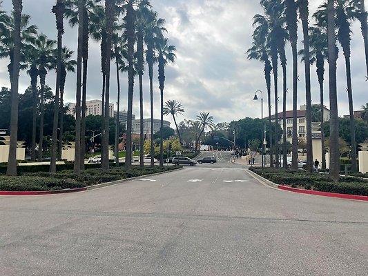 th IMG 8311 th IMG 8311