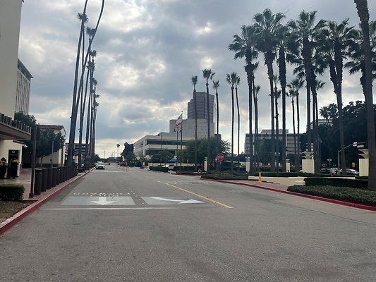 th IMG 8309 th IMG 8309