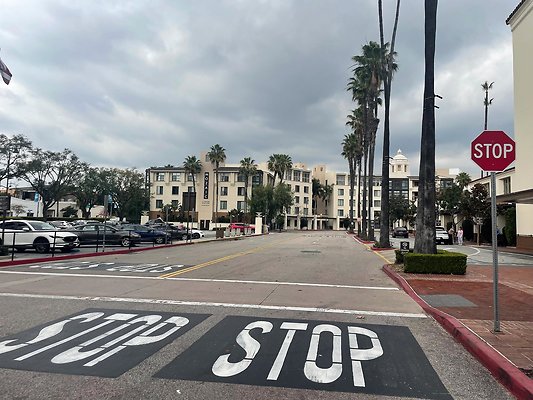 th IMG 8313 th IMG 8313