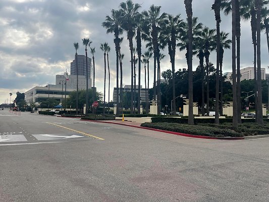 th IMG 8310 th IMG 8310