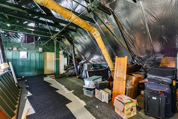 UNIVERSAL-B373-PS-61 UNIVERSAL-B373-PS-61