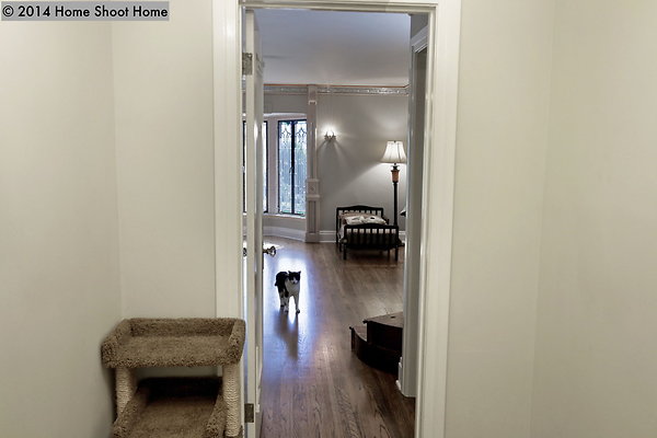 29landing-and-cat 29landing-and-cat