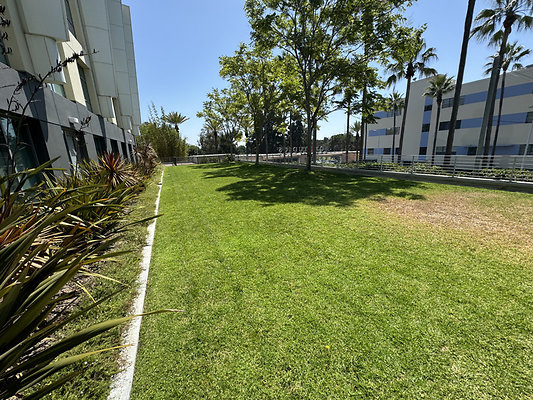 IMG 1965