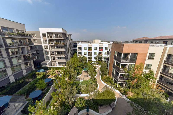 11706 roof 6 11706 roof 6