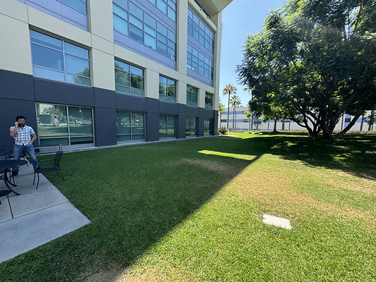 Bldg 103 Lawn