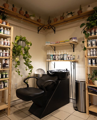 13524 salon 2