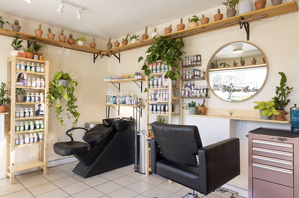 13524 salon 1