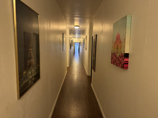 IMG 2443