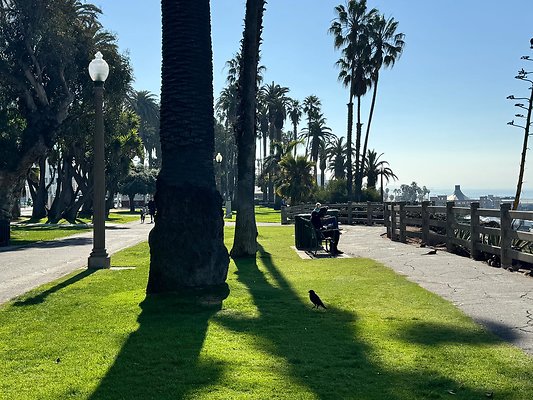ocean ave santa monica