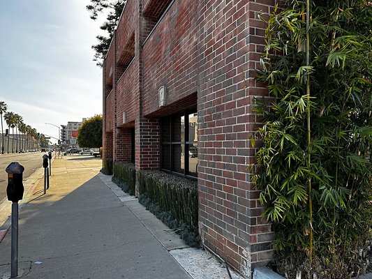 IMG 7059