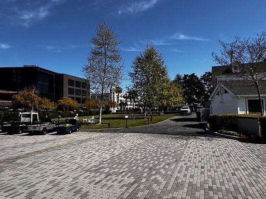 IMG 7096