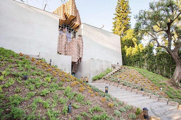 black-dahlia-48 black-dahlia-48