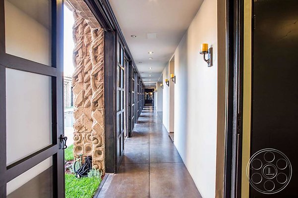 black-dahlia-12 black-dahlia-12