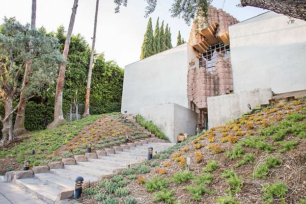 black-dahlia-49 black-dahlia-49