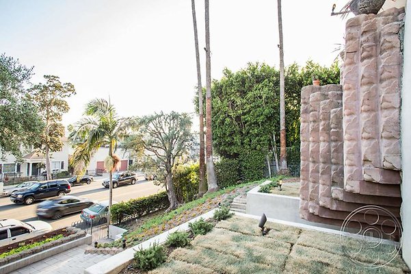 black-dahlia-45 black-dahlia-45