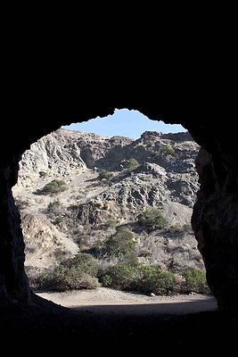 IMG 0800 299006722e285f47655d17d1c9136337