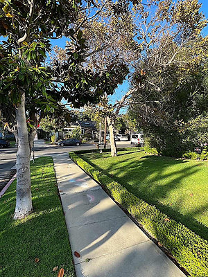 12952 ext 4 12952 ext 4