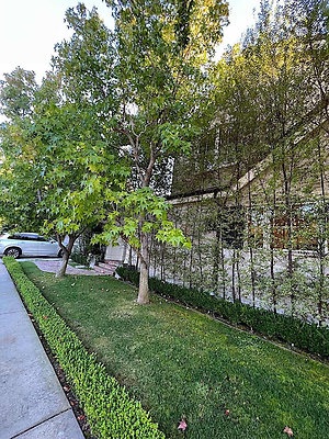 12952 ext 7 12952 ext 7