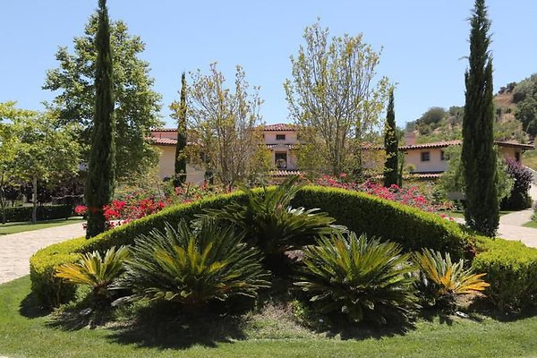 UNIVERSAL-A439-LA-20