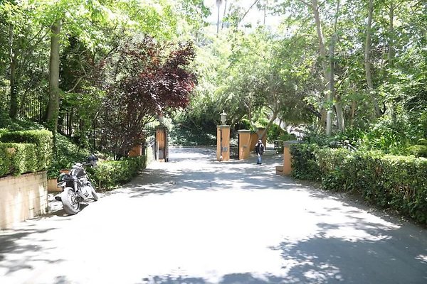 UNIVERSAL-A439-LA-41