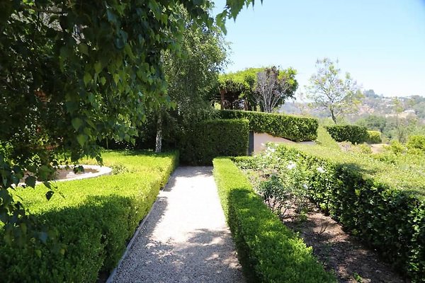 UNIVERSAL-A439-LA-62