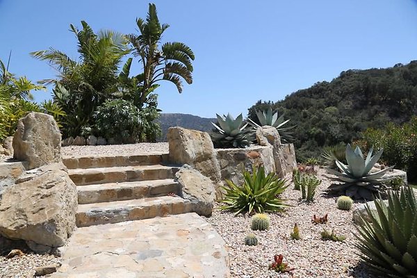 UNIVERSAL-A439-LA-72