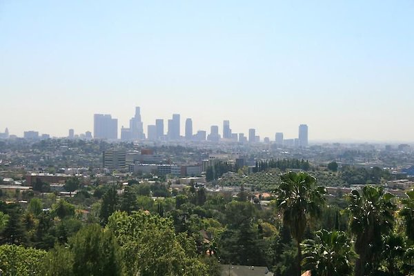 UNIVERSAL-9495-LOSF-101