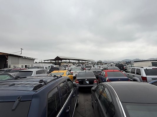 th IMG 1046