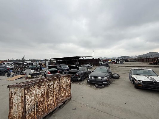 th IMG 1008