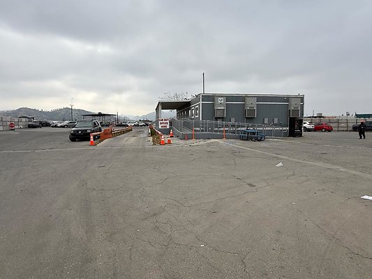 th IMG 1061