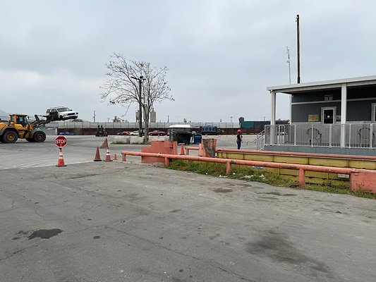 th IMG 1056