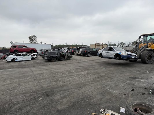 th IMG 0969