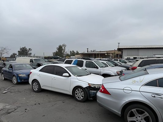 th IMG 1038